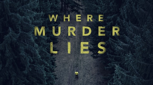 Where Murder Lies poster — TV series on Max