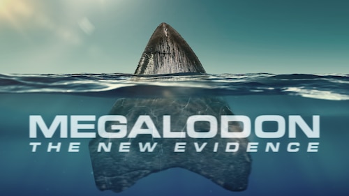 Megalodon: The New Evidence poster — movie on Max