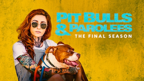Pit Bulls & Parolees poster — TV series on Max