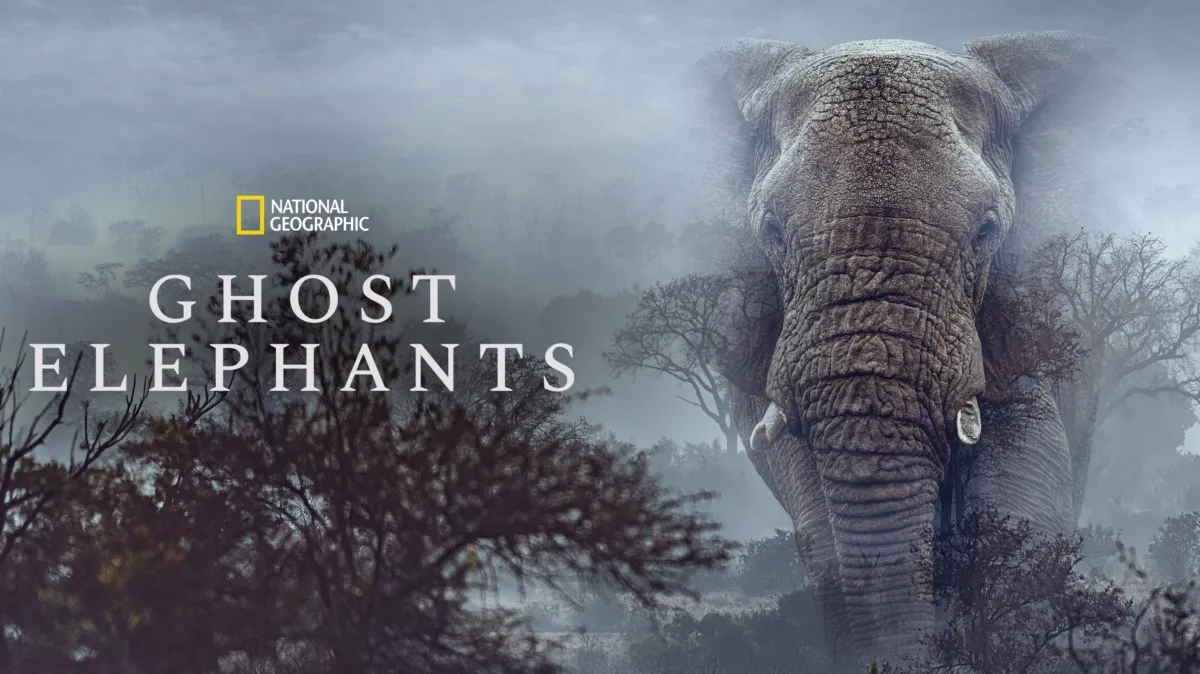 Ghost Elephants poster — movie on Disney+