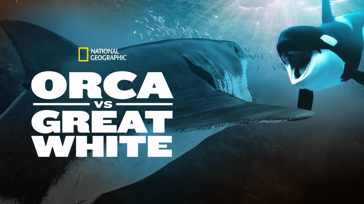 Orca vs. Great White poster — movie on Disney+
