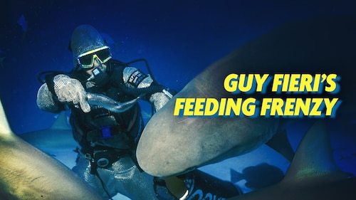Guy Fieri's Feeding Frenzy poster — movie on Max