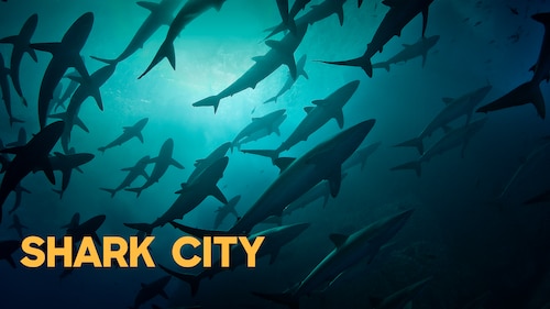 Shark City poster — movie on Max