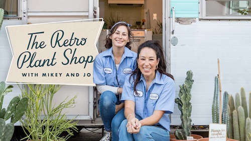 The Retro Plant Shop with Mikey and Jo poster — TV series on Max