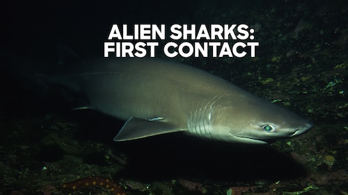 Alien Sharks: First Contact poster — movie on Max