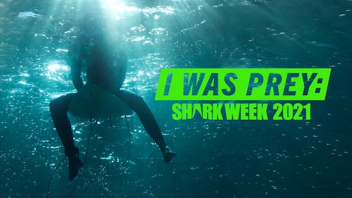 I Was Prey: Shark Week 2021 poster — movie on Max