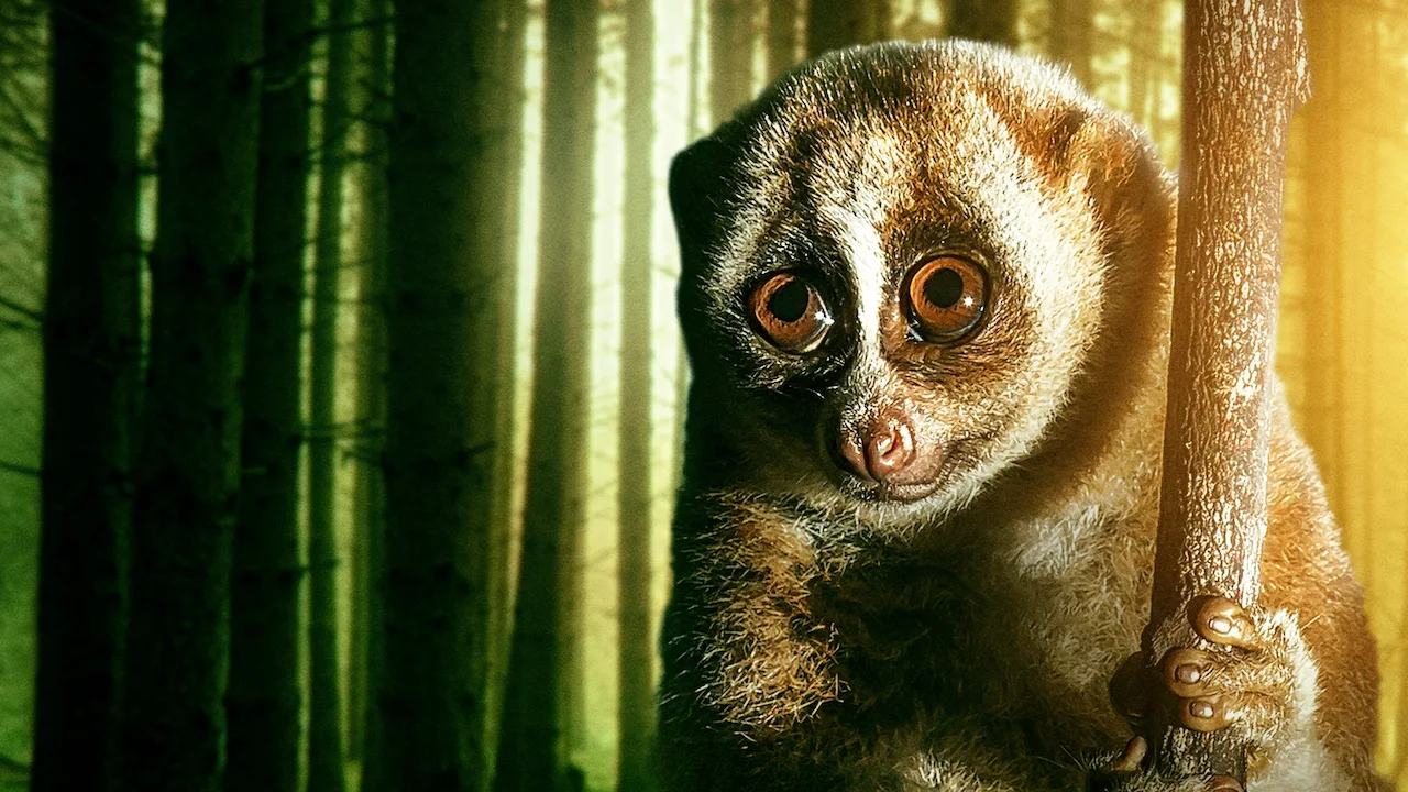 72 Dangerous Animals: Asia