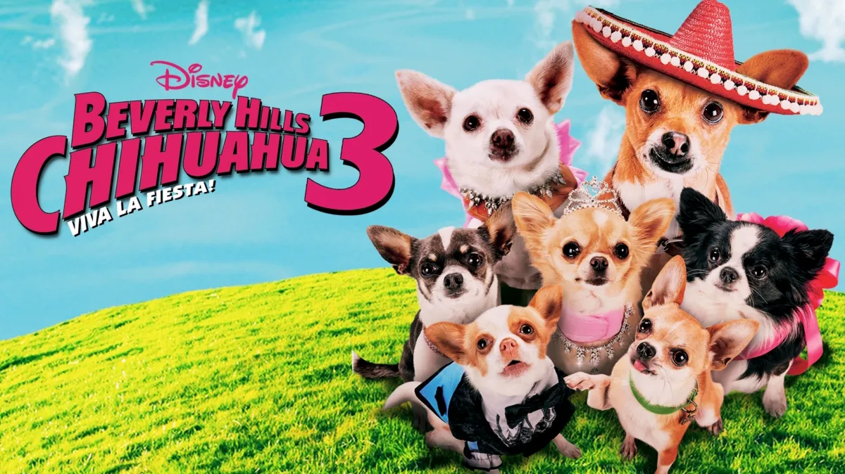 Beverly Hills Chihuahua 3: Viva La Fiesta! poster — movie on Disney+