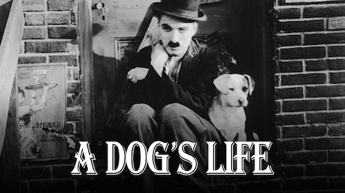A Dog's Life poster — movie on Max