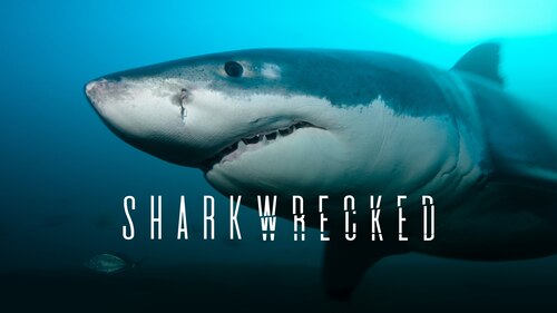 Sharkwrecked poster — movie on Max
