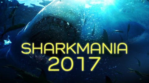 Sharkmania 2017 poster — movie on Max