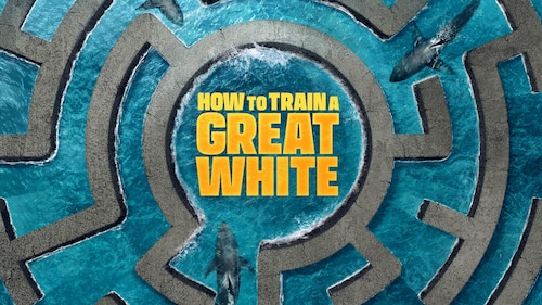 How to Train a Great White poster — movie on Max