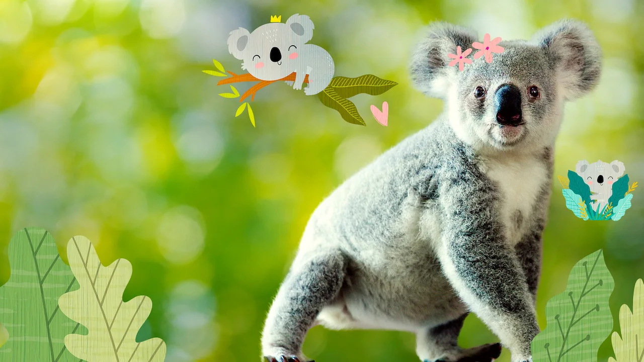 Izzy's Koala World