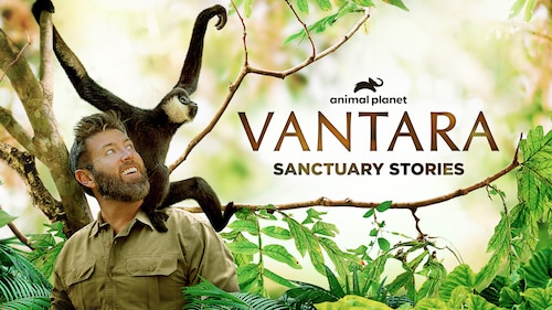 Vantara: Sanctuary Stories poster — TV series on Max