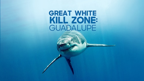 Great White Kill Zone: Guadalupe poster — movie on Max