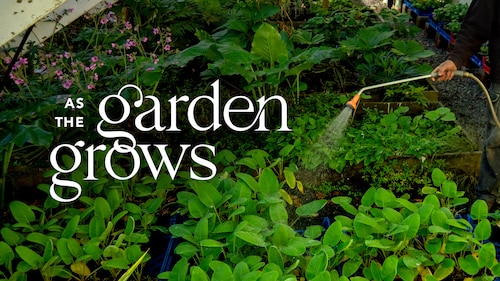 As the Garden Grows poster — TV series on Max