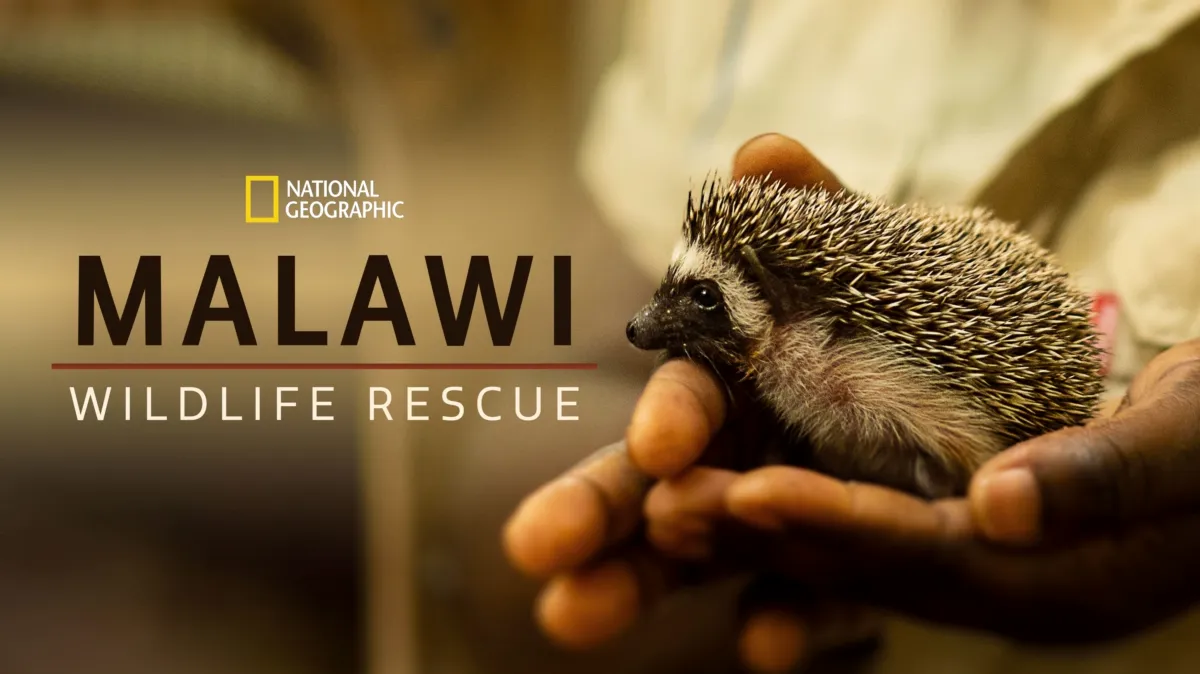 Malawi Wildlife Rescue poster — TV series on Disney+
