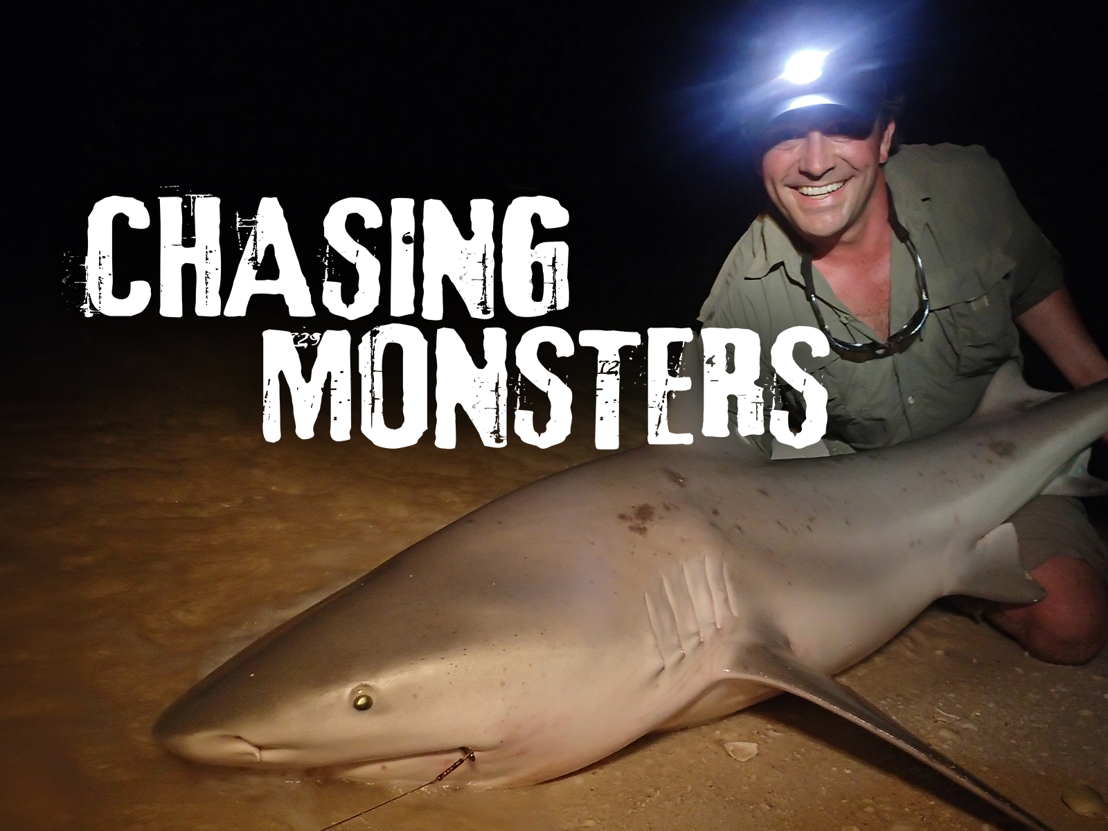 Chasing Monsters poster — TV series on Prime Video