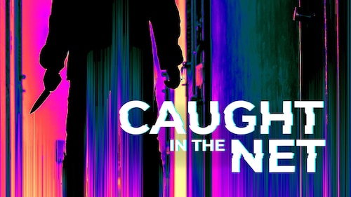 Caught in the Net poster — TV series on Max