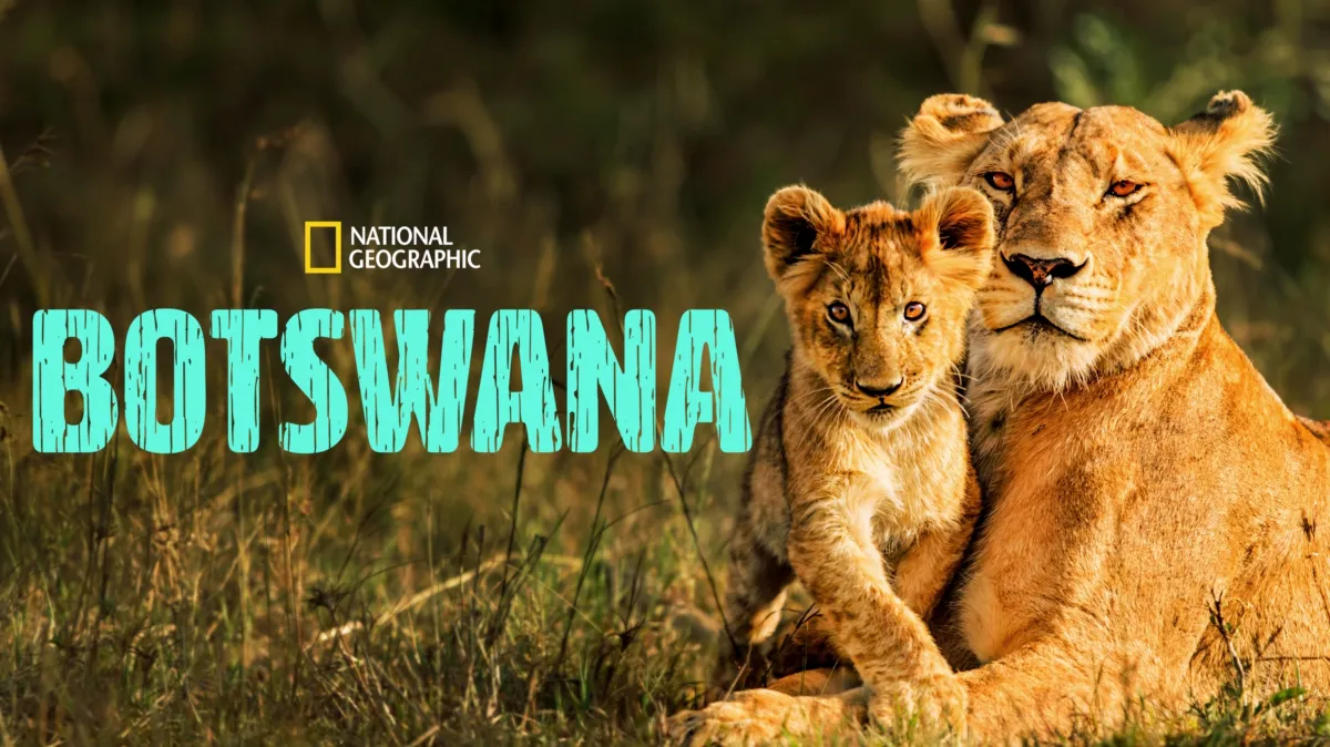 Botswana poster — TV series on Disney+