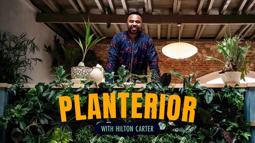 Planterior With Hilton Carter poster — TV series on Max