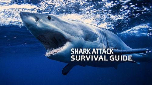 Shark Attack Survival Guide poster — movie on Max