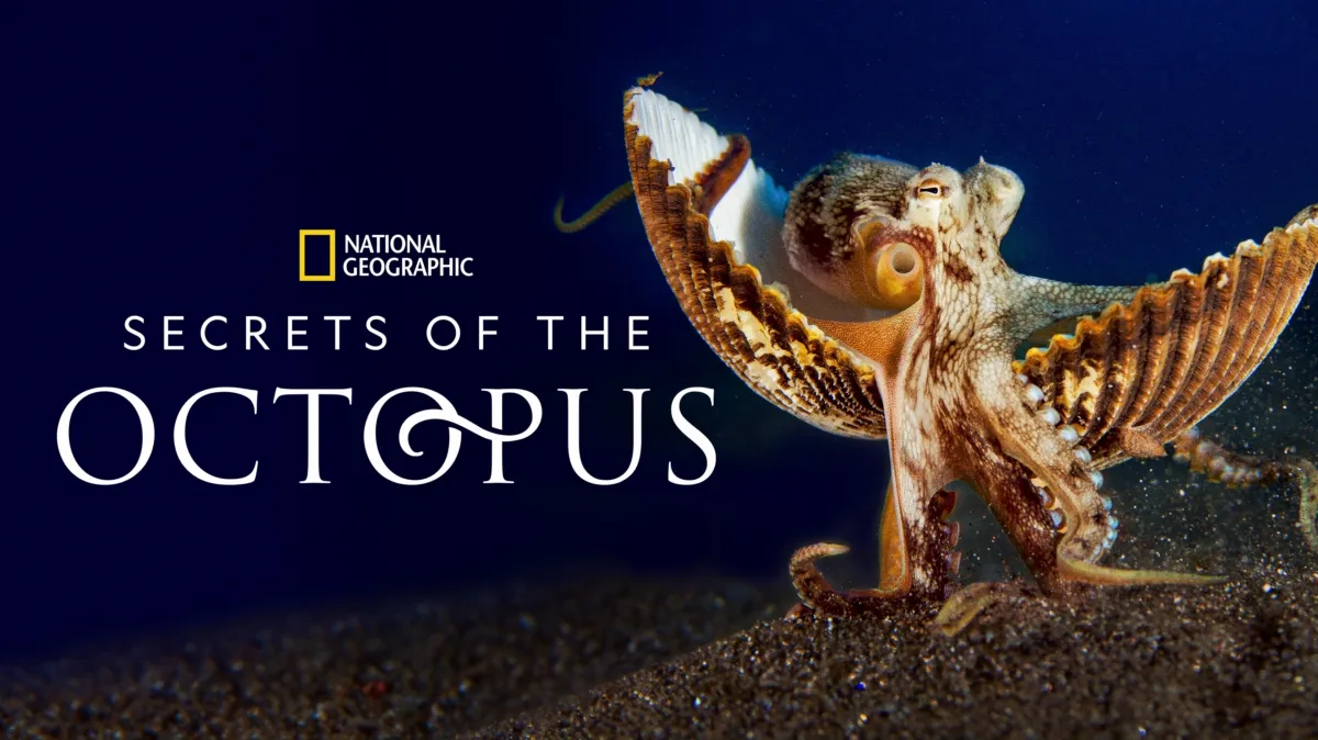 Secrets of the Octopus poster — TV series on Disney+