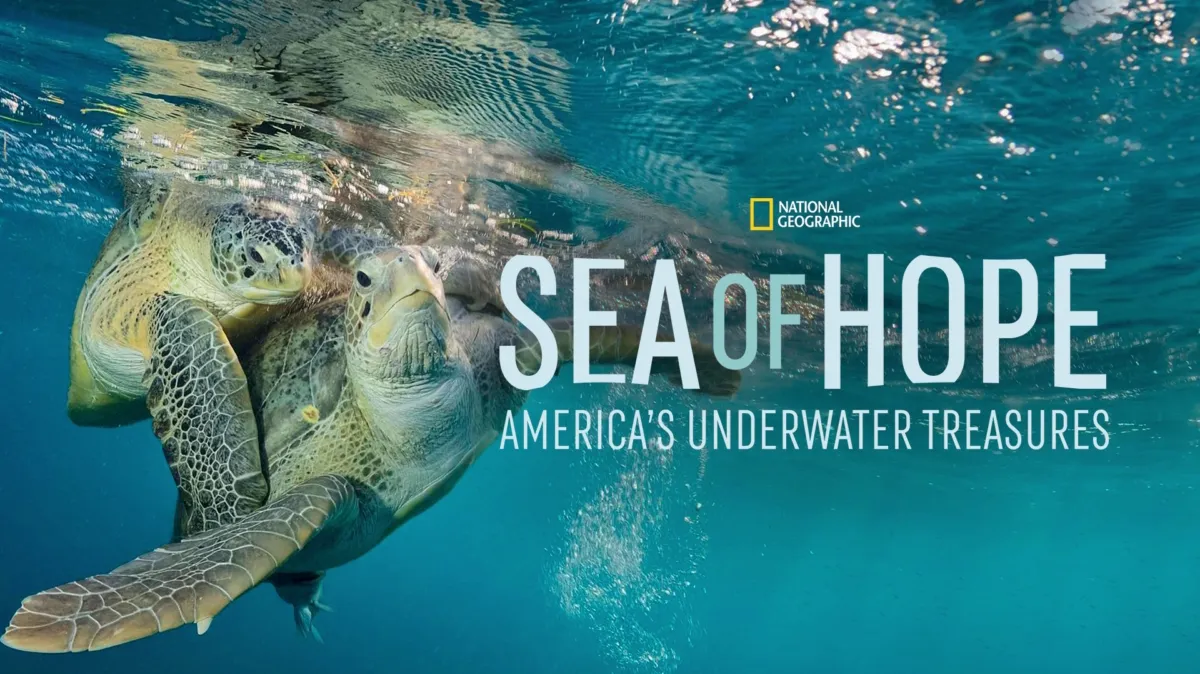 Sea of Hope: America's Underwater Treasures poster — movie on Disney+