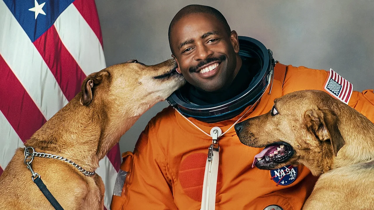 Dogs