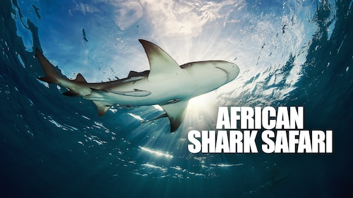 African Shark Safari poster — movie on Max
