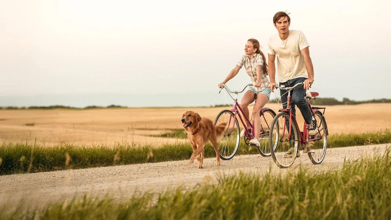 A Dog's Purpose