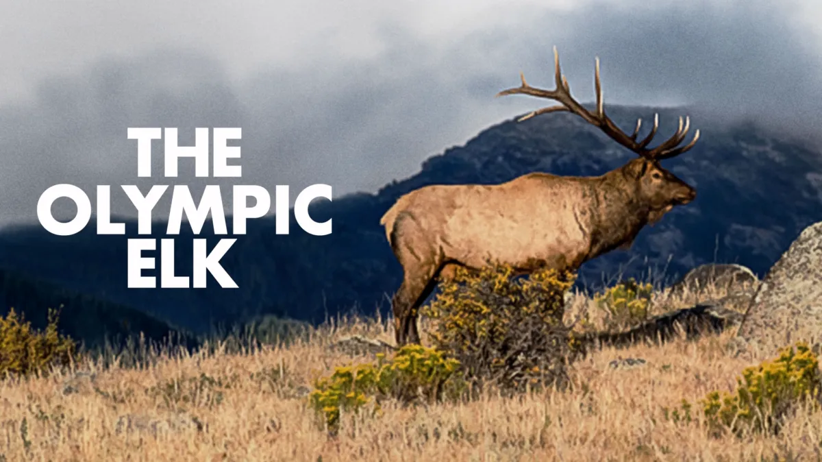The Olympic Elk poster — movie on Disney+