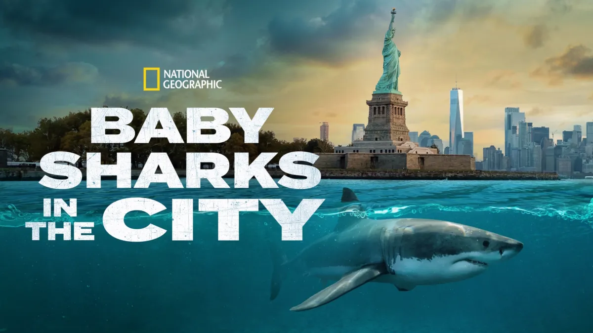Baby Sharks in the City poster — movie on Disney+