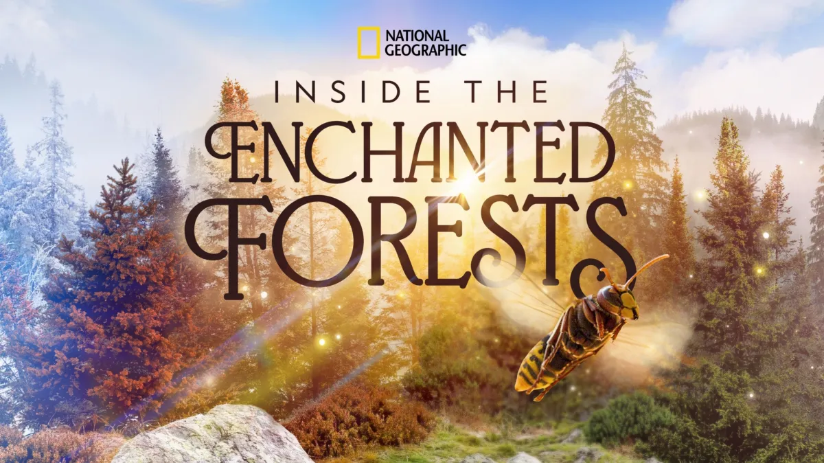 Inside the Enchanted Forests poster — TV series on Disney+