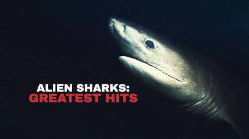 Alien Sharks: Greatest Hits poster — movie on Max