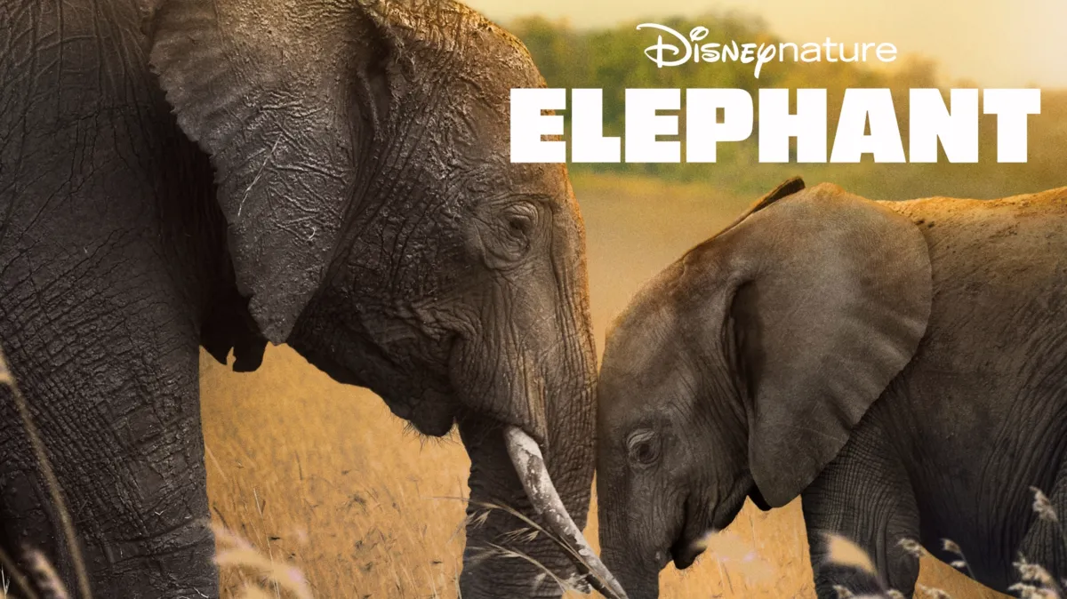 Elephant poster — movie on Disney+