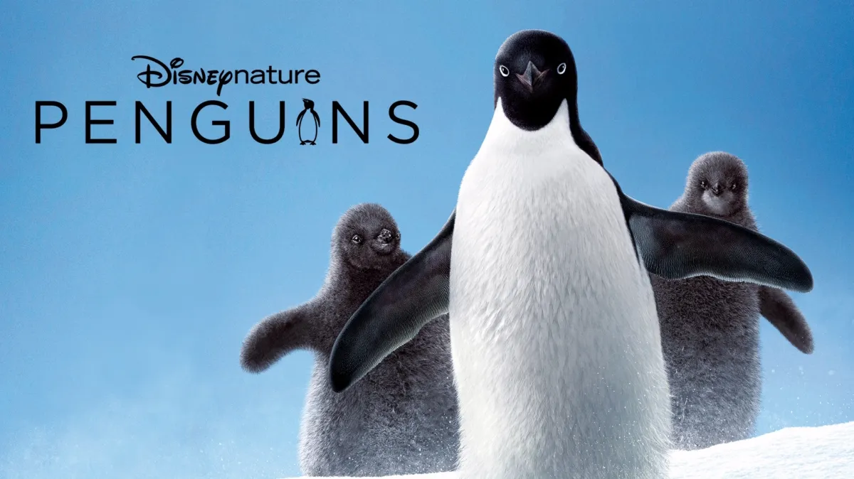 Penguins poster — movie on Disney+