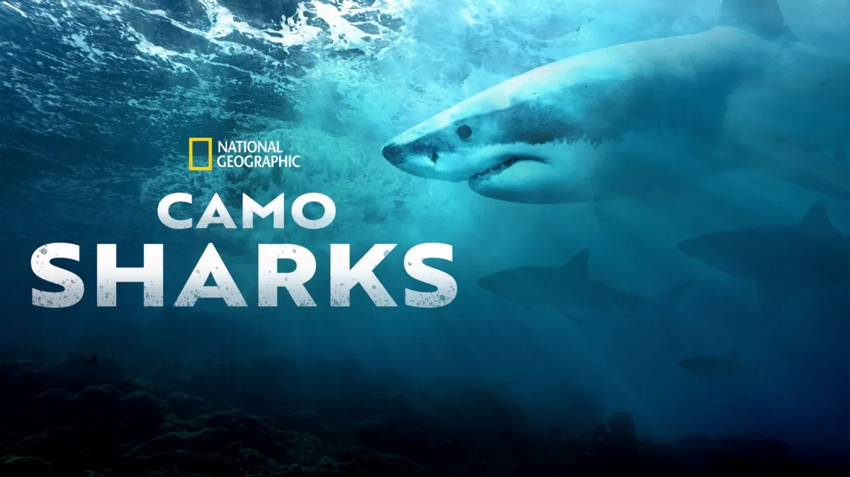 Camo Sharks poster — movie on Disney+