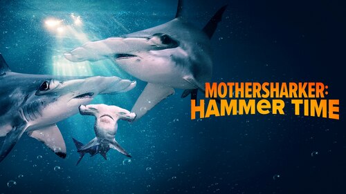 Mothersharker: Hammer Time poster — movie on Max