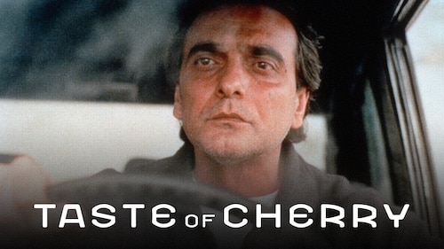 Taste of Cherry poster — movie on Max