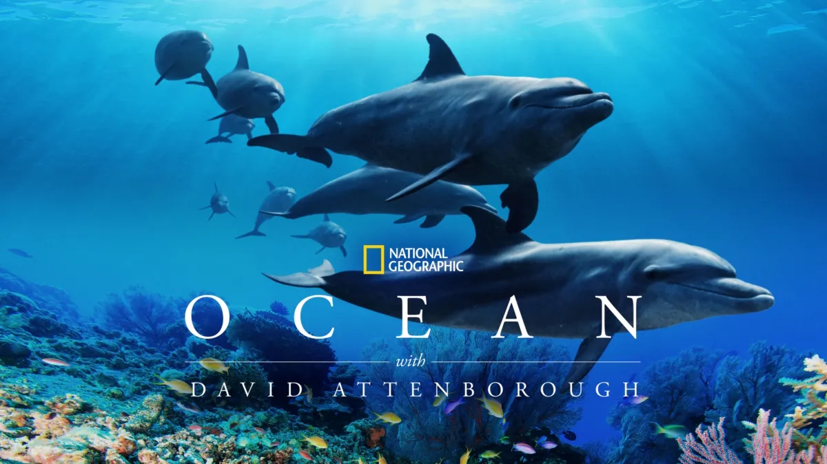 Ocean with David Attenborough poster — movie on Disney+