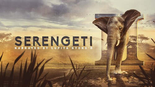 Serengeti II poster — TV series on Max
