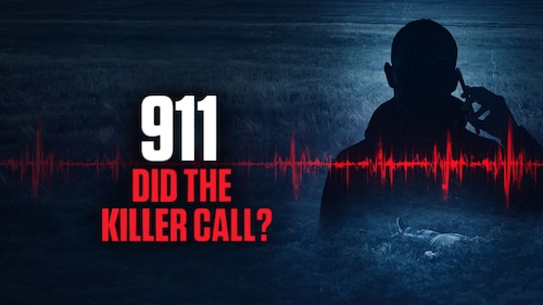 911: Did the Killer Call? poster — TV series on Max