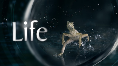 Life poster — TV series on Max
