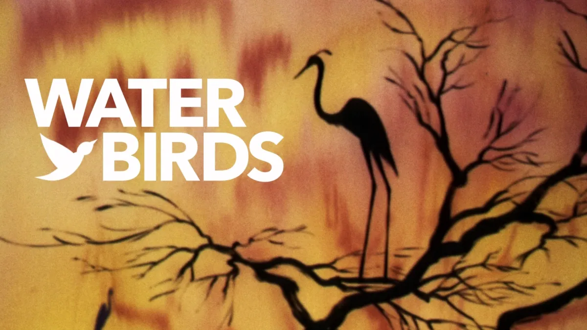 Water Birds poster — movie on Disney+