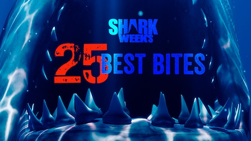Shark Week's 25 Best Bites poster — movie on Max