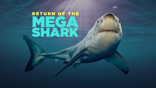 Return of the Megashark poster — movie on Max