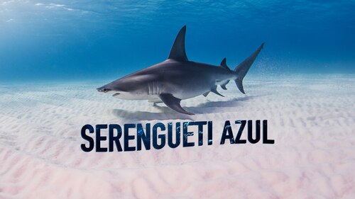 Blue Serengeti poster — movie on Max