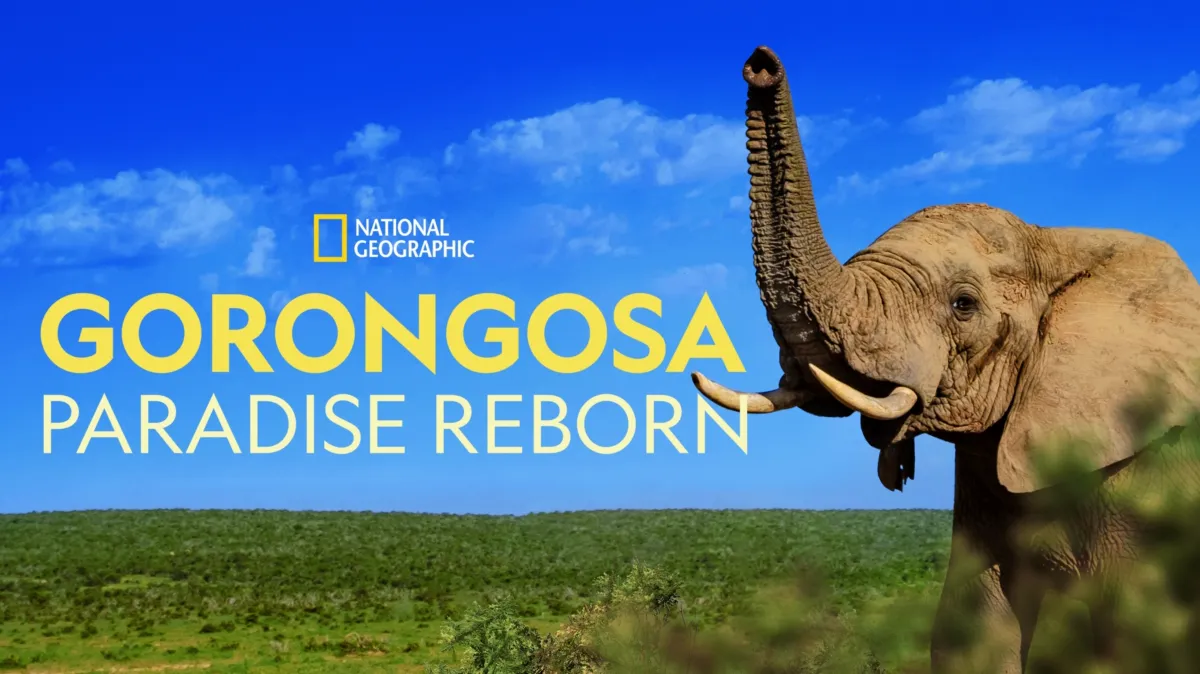Gorongosa: Paradise Reborn poster — movie on Disney+