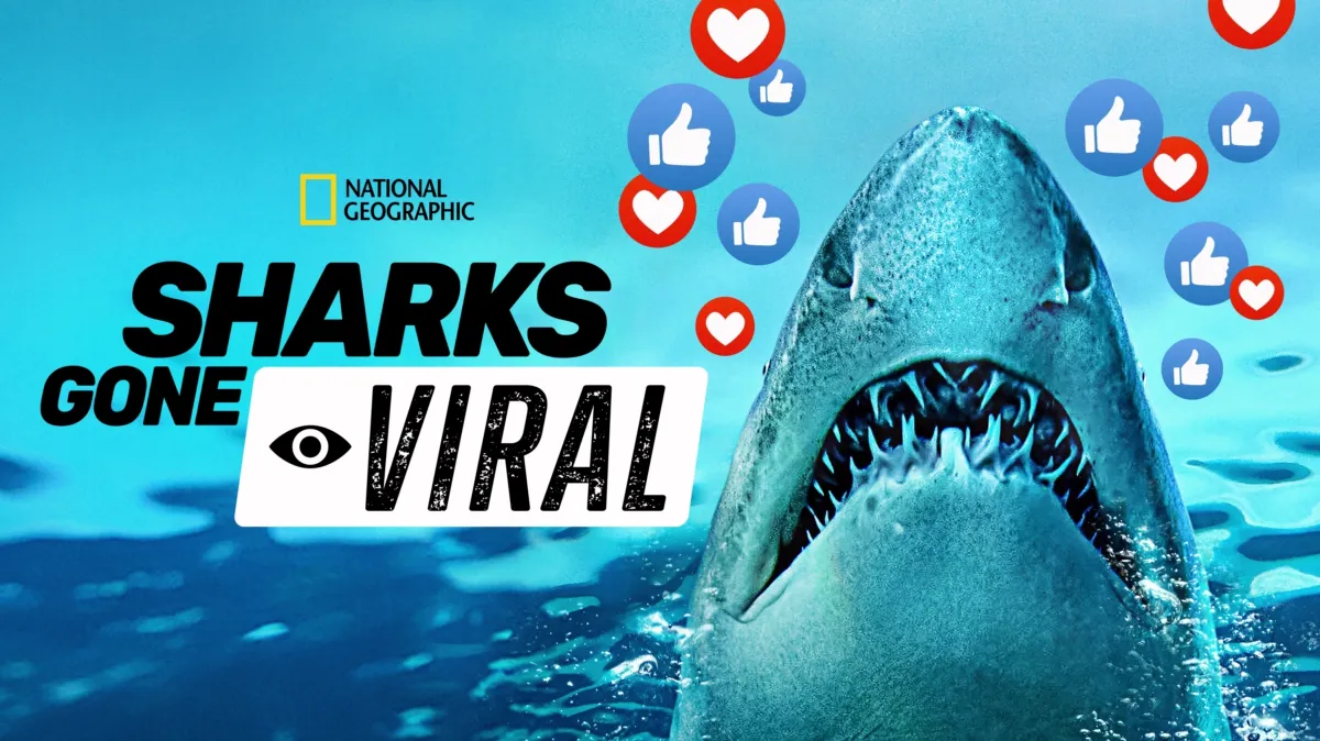 Sharks Gone Viral poster — movie on Disney+